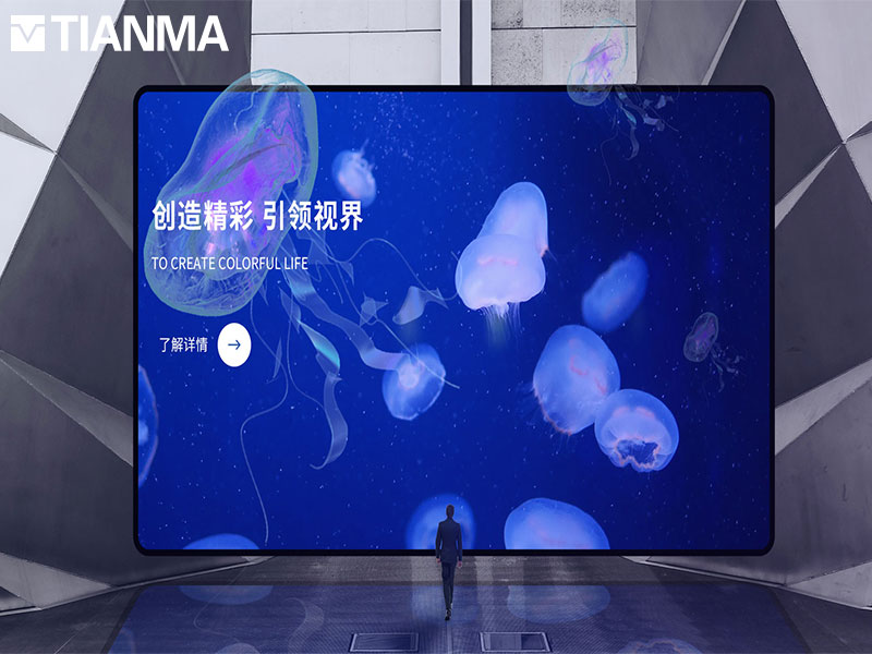 天马微电子
